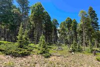 Land in Colfax County, New Mexico