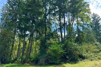 Undeveloped Land in Pierce County, Washington