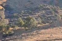 Land for sale in Kern County, California