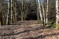 Farm and Ranch in Cowlitz County, Washington
