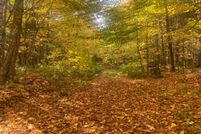 Undeveloped Land for sale in Gogebic County, Michigan