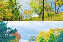 Undeveloped Land in Stearns County, Minnesota