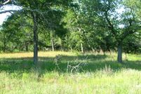 Undeveloped Land in Wise County, Texas