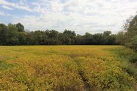 Undeveloped Land in Jefferson County, Illinois