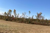 Undeveloped Land in Hopkins County, Kentucky