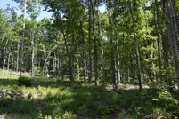 Undeveloped Land in Antrim County, Michigan