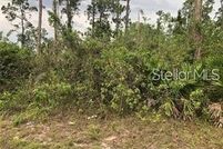 Hunting Property for sale in Okeechobee County, Florida