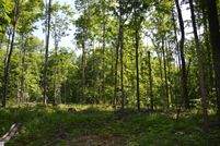 Undeveloped Land in Antrim County, Michigan