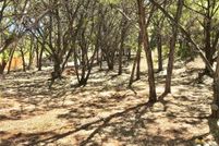 Undeveloped Land in Travis County, Texas