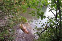 Undeveloped Land in Keweenaw County, Michigan