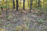 Land for sale in Fulton County, Arkansas
