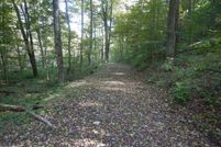 Hunting Property in Tioga County, New York