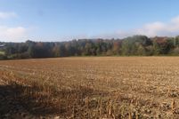 Undeveloped Land in Chautauqua County, New York