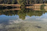 Undeveloped Land in Sanilac County, Michigan