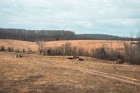 Farm and Ranch in Ripley County, Missouri