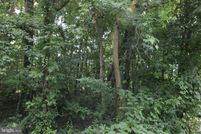 Undeveloped Land in Prince Georges County, Maryland