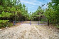 Undeveloped Land in Titus County, Texas