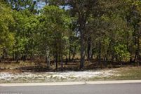 Undeveloped Land in Brunswick County, North Carolina
