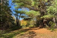 Undeveloped Land in Forest County, Wisconsin