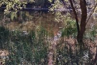 Recreational Property for sale in Washington County, Virginia