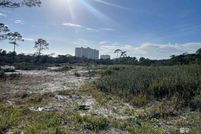 Undeveloped Land in Baldwin County, Alabama