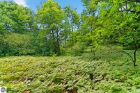 Undeveloped Land in Manistee County, Michigan