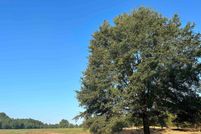 Farm and Ranch in Spalding County, Georgia