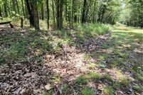 Undeveloped Land in Benton County, Missouri