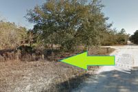 Undeveloped Land in Levy County, Florida