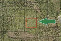 Undeveloped Land in Brevard County, Florida