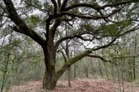 Undeveloped Land for sale in Baldwin County, Alabama