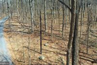 Undeveloped Land in Warren County, Virginia