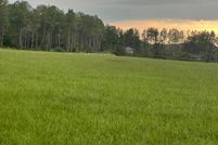 Undeveloped Land in Barbour County, Alabama