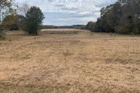 Undeveloped Land in Lauderdale County, Alabama