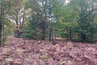 Undeveloped Land in Grand Traverse County, Michigan