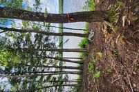 Land in Washington County, Maine