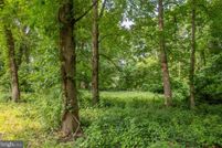 Undeveloped Land in Cecil County, Maryland