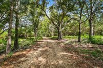 Undeveloped Land in Washington Parish, Louisiana