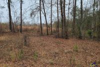 Land for sale in Peach County, Georgia