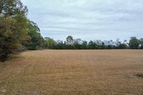 Undeveloped Land in Hinds County, Mississippi