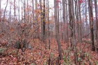 Timberland Property for sale in Washington County, Virginia