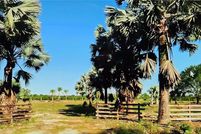 Undeveloped Land in Lee County, Florida