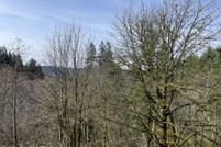 Undeveloped Land in Cowlitz County, Washington