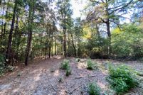 Undeveloped Land in Angelina County, Texas