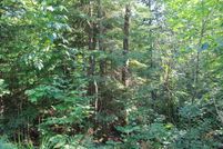 Undeveloped Land in Iron County, Wisconsin