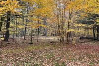 Undeveloped Land in Marinette County, Wisconsin