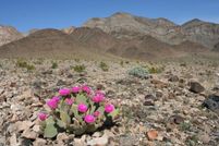Undeveloped Land in San Bernardino County, California