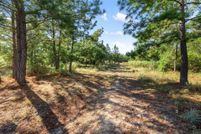 Undeveloped Land in Bastrop County, Texas