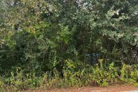 Undeveloped Land in Escambia County, Florida
