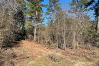 Undeveloped Land in Franklin County, Texas